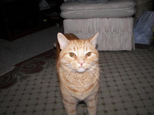 My baby - Here is my cute baby