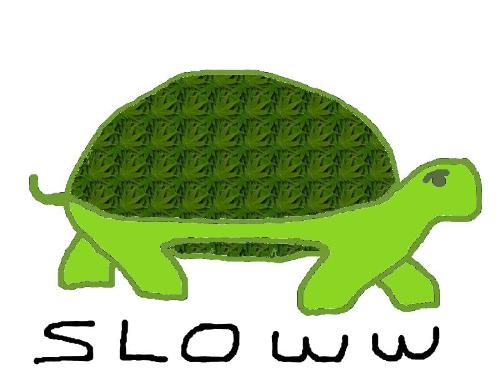 Vista can be SLOW! - If you load the Vista operating system onto a system that is slower you will suffer serious lag.