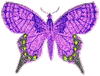 Purple Glittery Butterfly - A pretty purple glittery butterfly