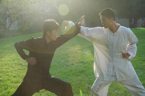 Kongfu - my friends