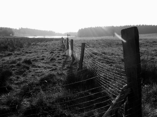 Village - This is Village end, I don't know photograph is from which place but surely is beautiful.