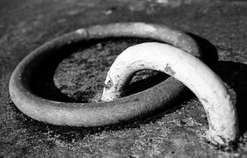 Micro lens work - Simple but ready to make you think what it is?