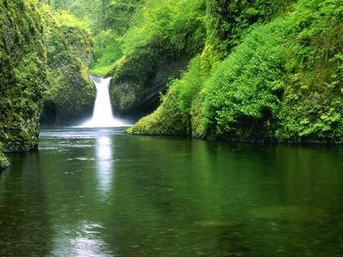 waterfalls - A nice scenic beauty.