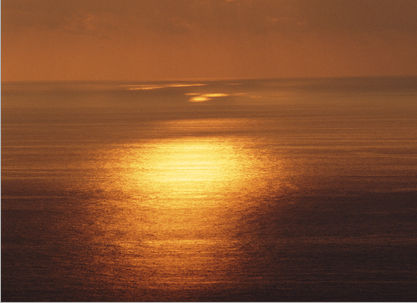 Nature - scenic beauty