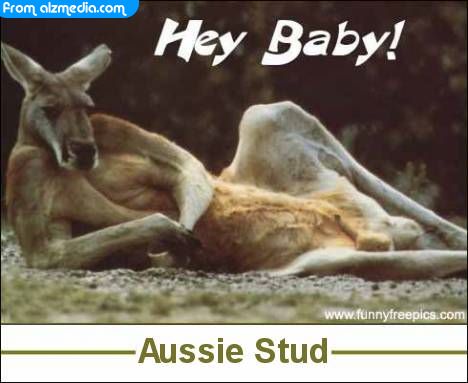 Sexy Kangaroo - Can you be as sexy as her?