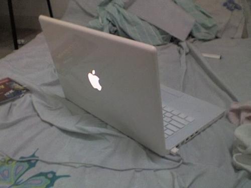 Sayuri - Sayuri the MacBook