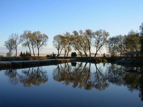 Goniadz  - Trees and a lake in Goniadz in Poland