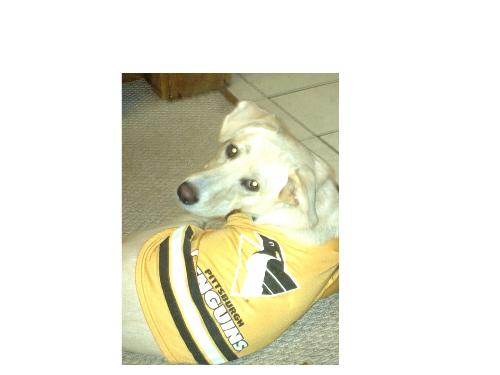 My Penguin Fan - Mt baby loves to watch the Pens as much as me! And she LOVES her jammies!