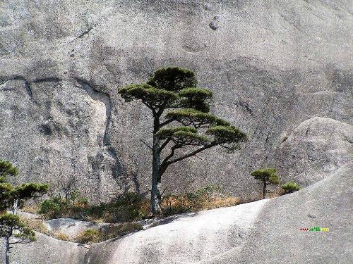 Huangshan - huangshan of china