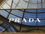 prada - prada icon
