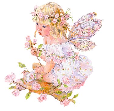 fairy baby - cutie fairy child