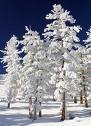 Snow - Cold as Snow