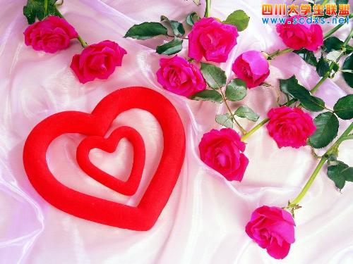 love - a chinese knot of love and a rose. beautiful as the feeling of love. the picture is downloaded yesterday. i have fallen in love with the picture. it is really beautiful.