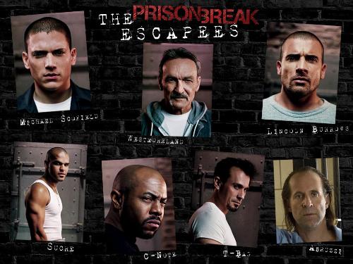 prison break - This the main roles in the frist season of prison break.The have different characters in the film.i prefer michael so much