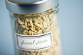 Fennel Seed - Licrorice spice