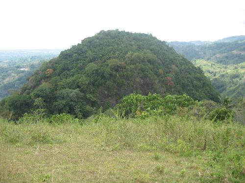 nature lover - I got this during our Ecotour last December 9, 2006. And it is almost 1 year.