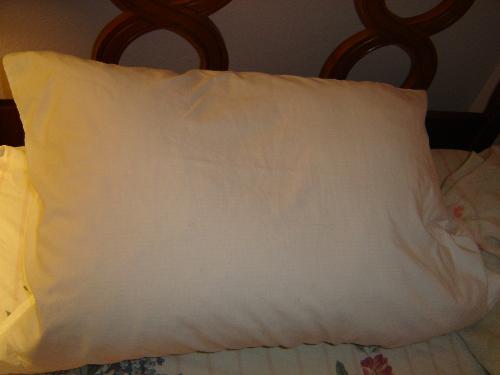 Feather Pillow - Feather pillow with a boring white case.