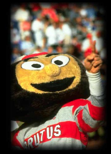 OSU mascot: Brutus - Ohio State Buckeyes&#039; mascot. Name: Brutus. What is it? He/She has an actual buckeye for a head, which is a poisonous nut.