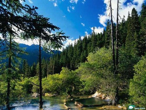 Beautiful scenery in Chengdu China - Chengdu