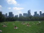 A summer in Central Park, NYC. - I love summer and love central park!!!