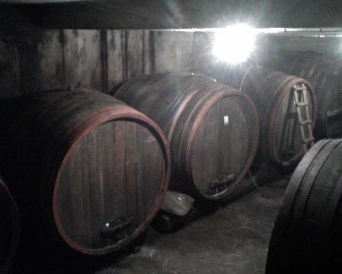 New wine in wine celler - Wine in my wine celler New wine in wine celler - Wine in my wine celler