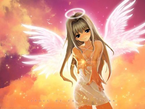 angel - angel qoh..
