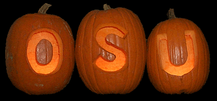 OSU pumpkins - Ohio State Buckeyes