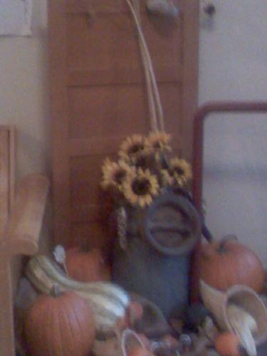 Fall theme - pumpkin patch, decorative, fall, gourds. Posted it th wrong way before. Oops.