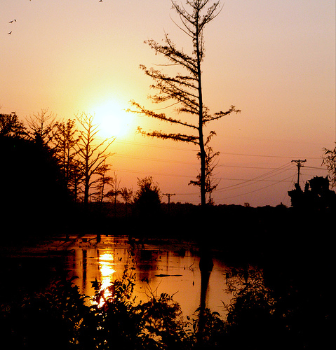 sunset view - In this picture the sun is about to set.