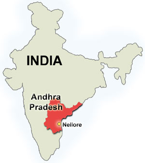 Nellore map - Nellore pointed out in india.