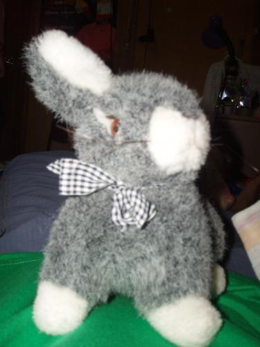 babbit - my babbit..