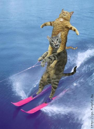 Freedom! - Ah, this is the life!