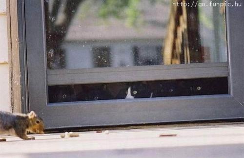 Peek-a-boo - I see you.