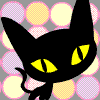 cat - black cat