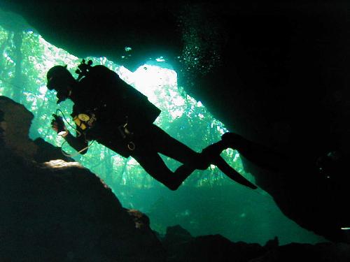 Cenote Diving - A photograph taken of me diving in Chac Mool, A cenote on the Mexican Yucatan peninsula. Super diving in crystal clear water. The trees you can see are in th jungle outside and to give you an idea of the water clarity I am about 40 feet underwater...