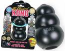 Kong Toy - You put treats in the toy and your dog will have fun