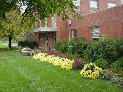 My college.................... - My great college....................