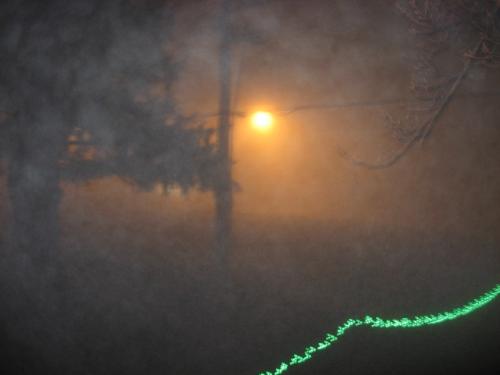 Foggy November Night - A great shot. Look closely and you can see the fog rolling in near the top of the photo.