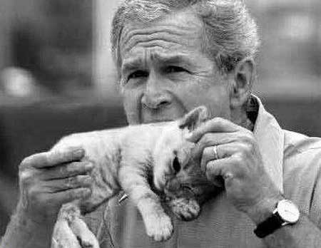 Kit Kat Time - President Bush eating an Kit Kat
