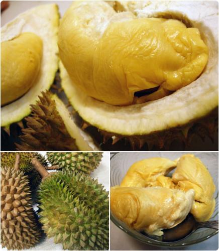 Durians - The spiky fruit that some people find offending.