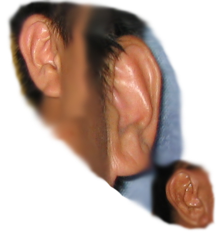 Ears... do we hear or listen with them - Ears... do we hear or listen with them? How often do we pay attention to what is being said in a conversation?