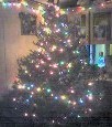 Christmas Tree - This is my tree from last year. My first real christmas tree.