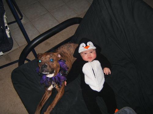 My babies! - My new baby, Evan, on his first Halloween, with our puppy, Gibson, on his first Halloween, too!