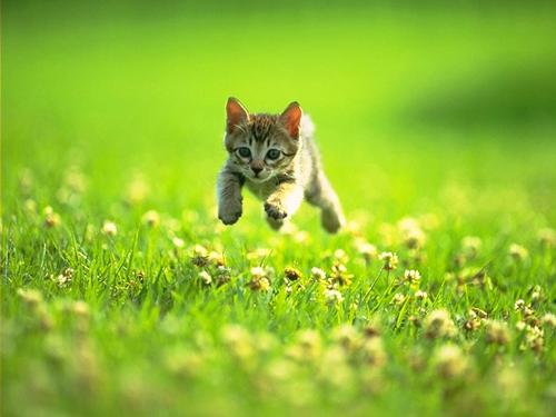 for the future - I am young.I am healthy and energic.Though I fall over myself sometimes,I stil run ,for the future.