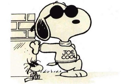 Snoopy - adorable puppy