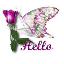 hello butterflies - butterflies saying hello