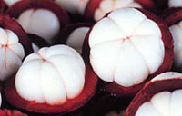 Mangosteen - Best mangosteen