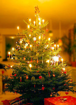 christmas tree - is your christmas complete