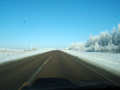 The work of Jack Frost again! - This is the frost on the trees in the same area as the other pic! Usually i enjoy travelling alone, but today was different, i felt too alone and i got so bored!