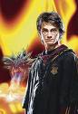 Harry Potter - Harry Potter Picture